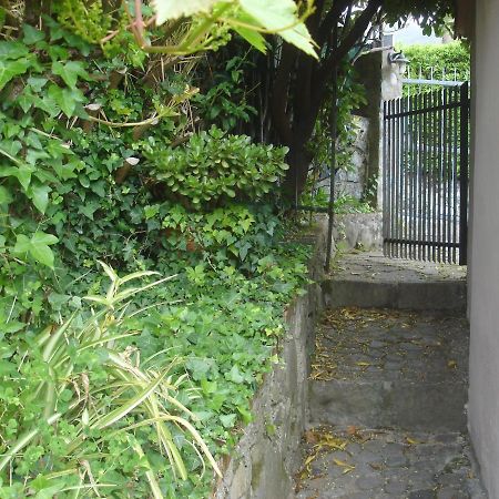 Sunflower Cosy Cottage - Il Girasole Monterosso al Mare Buitenkant foto